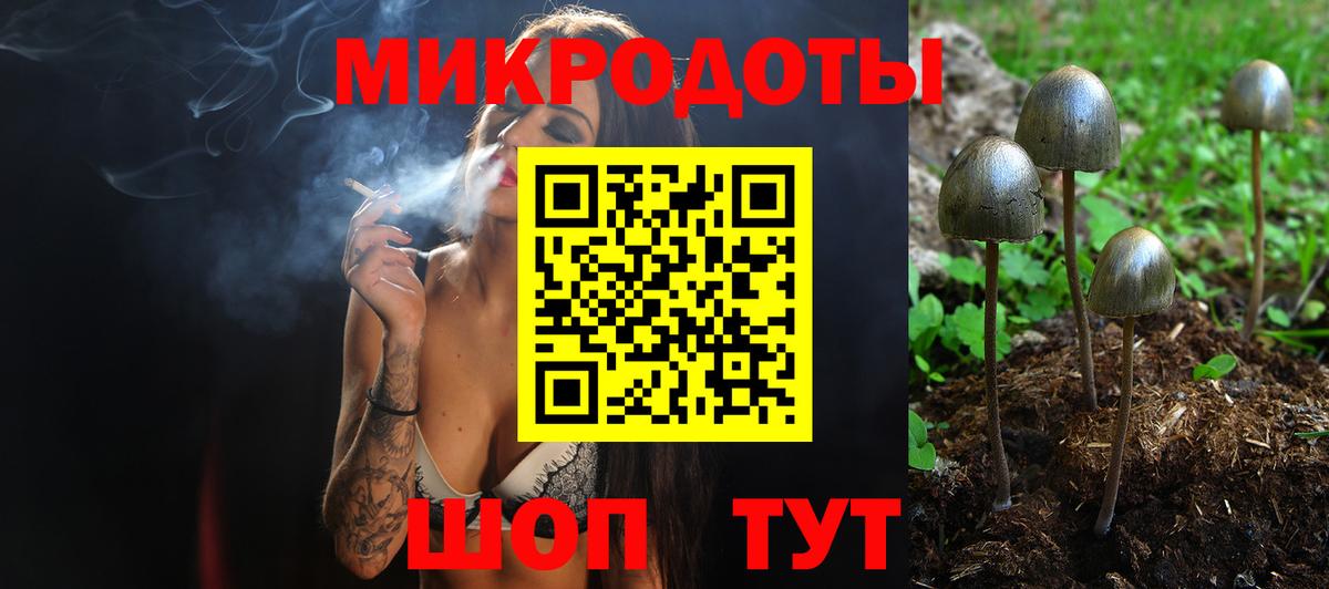 Галлюциногенные грибы Psilocybe Кумертау
